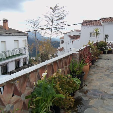 Apartamentos Rurales Jardines Del Visir Хенальгуасіль Екстер'єр фото