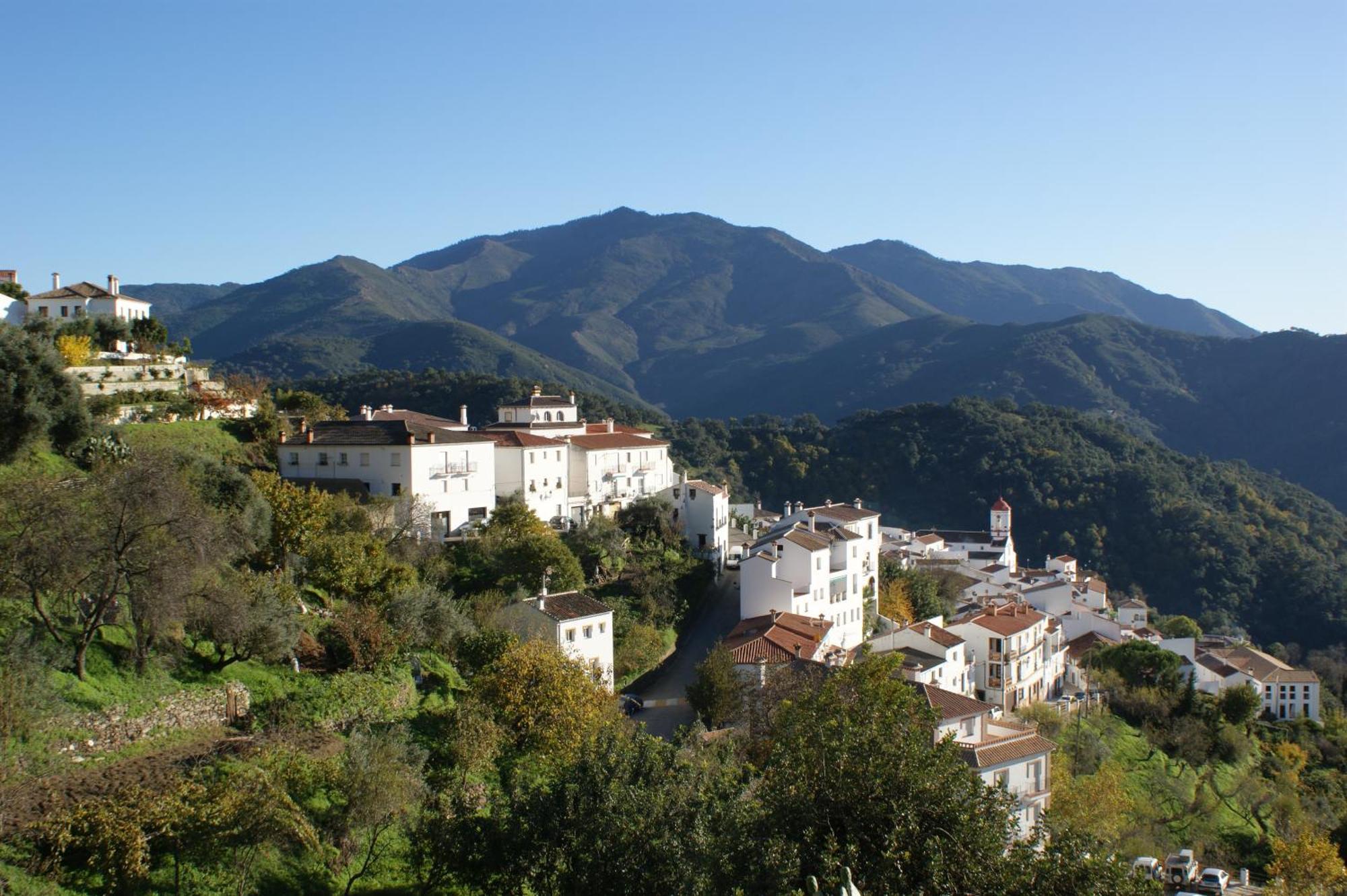 Apartamentos Rurales Jardines Del Visir Хенальгуасіль Екстер'єр фото